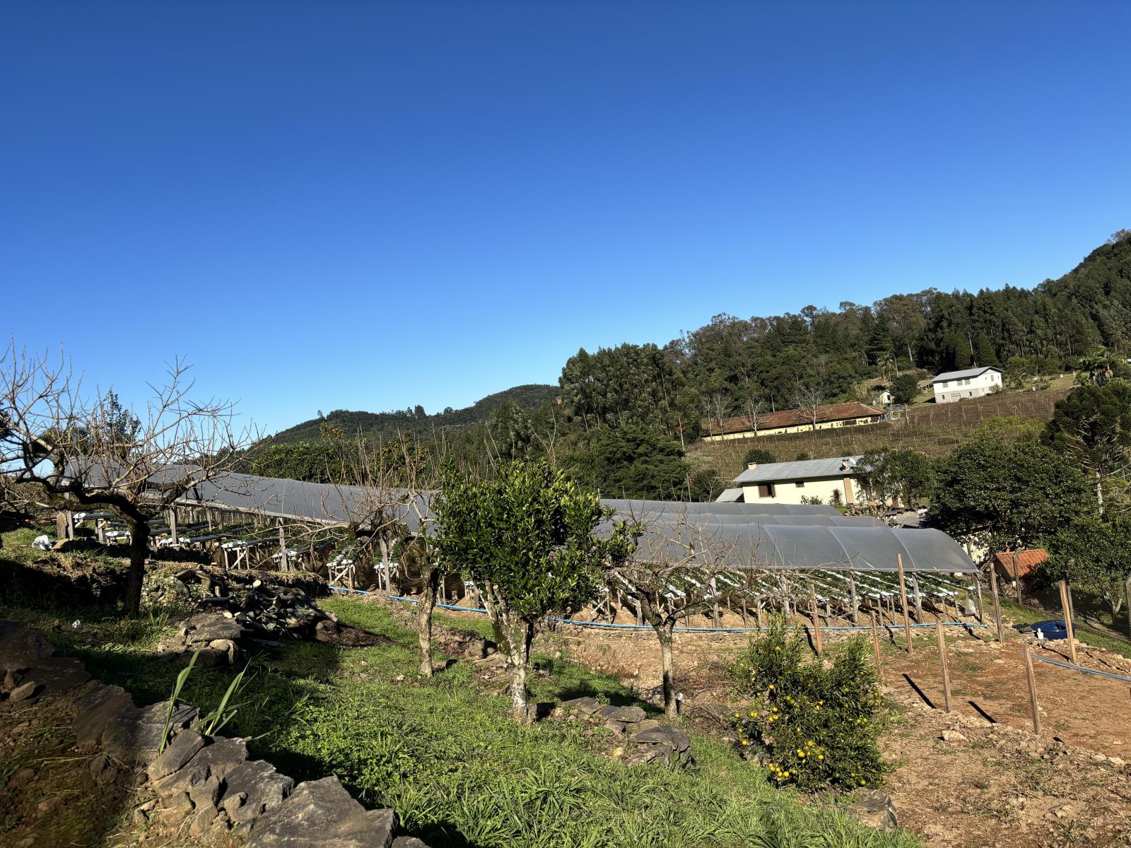 Imóvel 1042