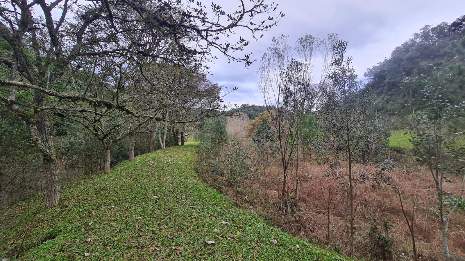 Imóvel 1050