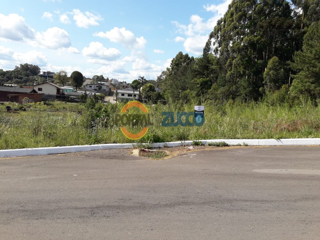 Imóvel 447