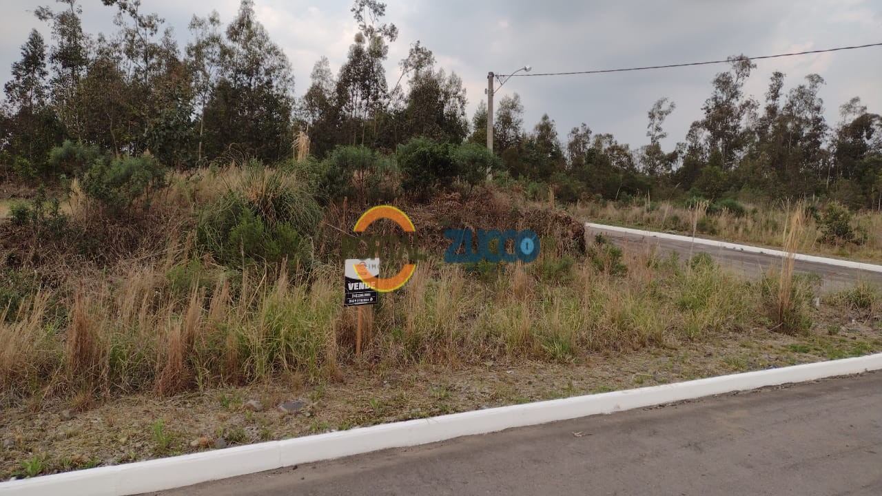 Imóvel 532