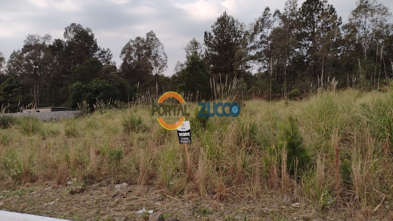 Imóvel 536
