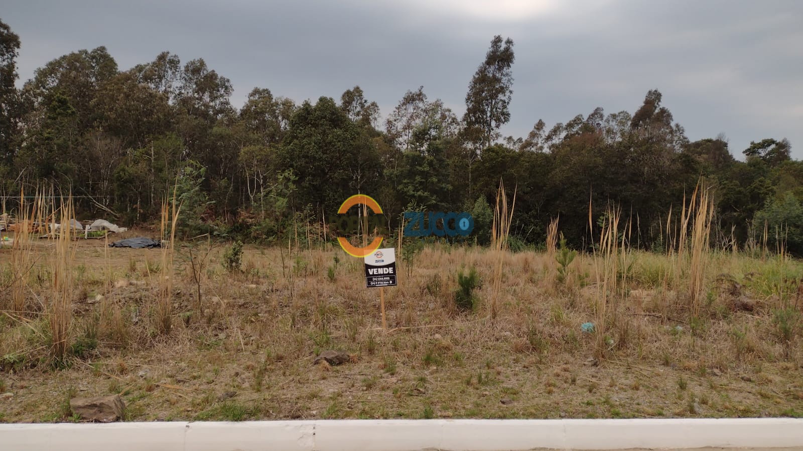 Imóvel 538