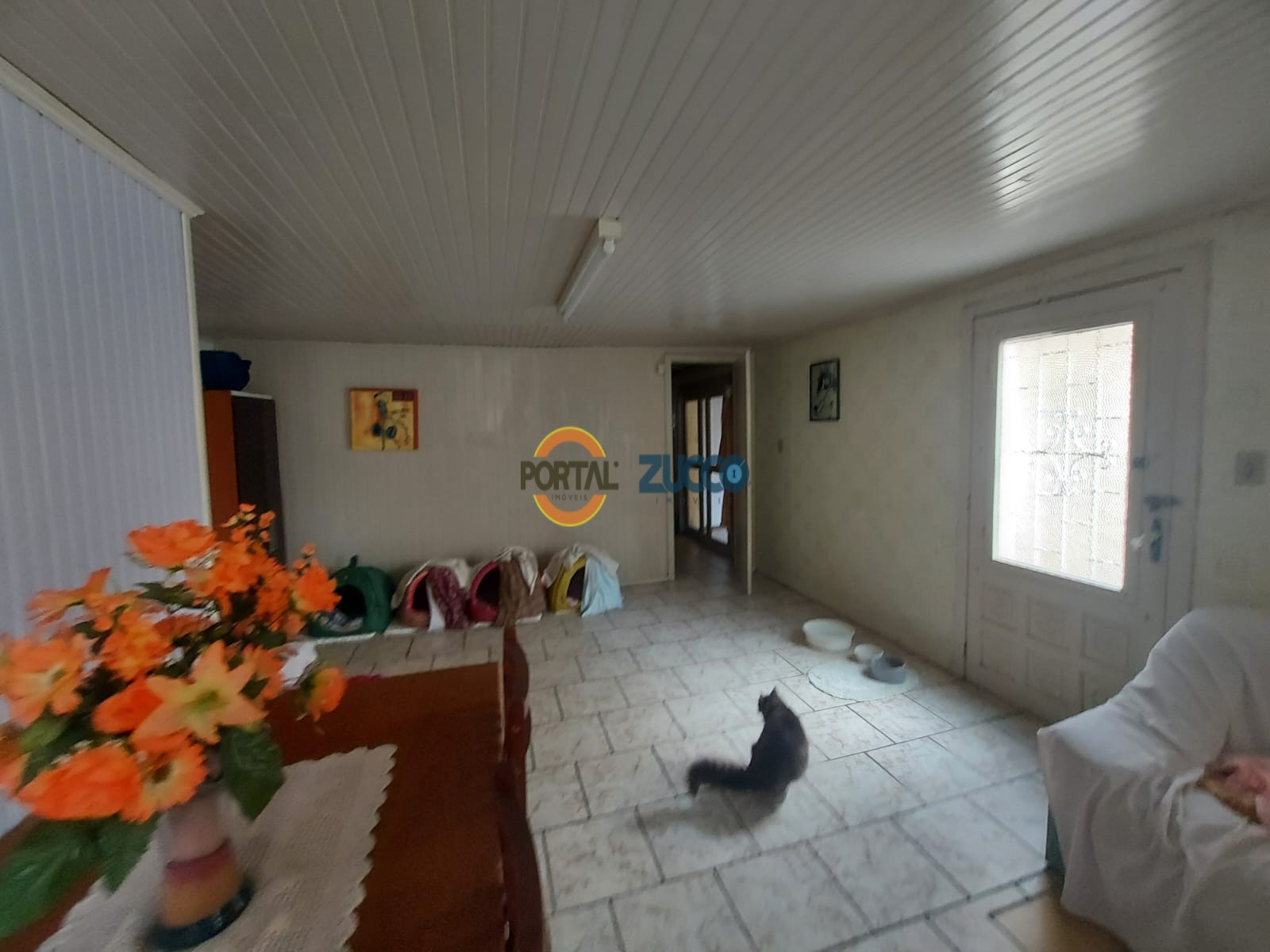 Imóvel 685