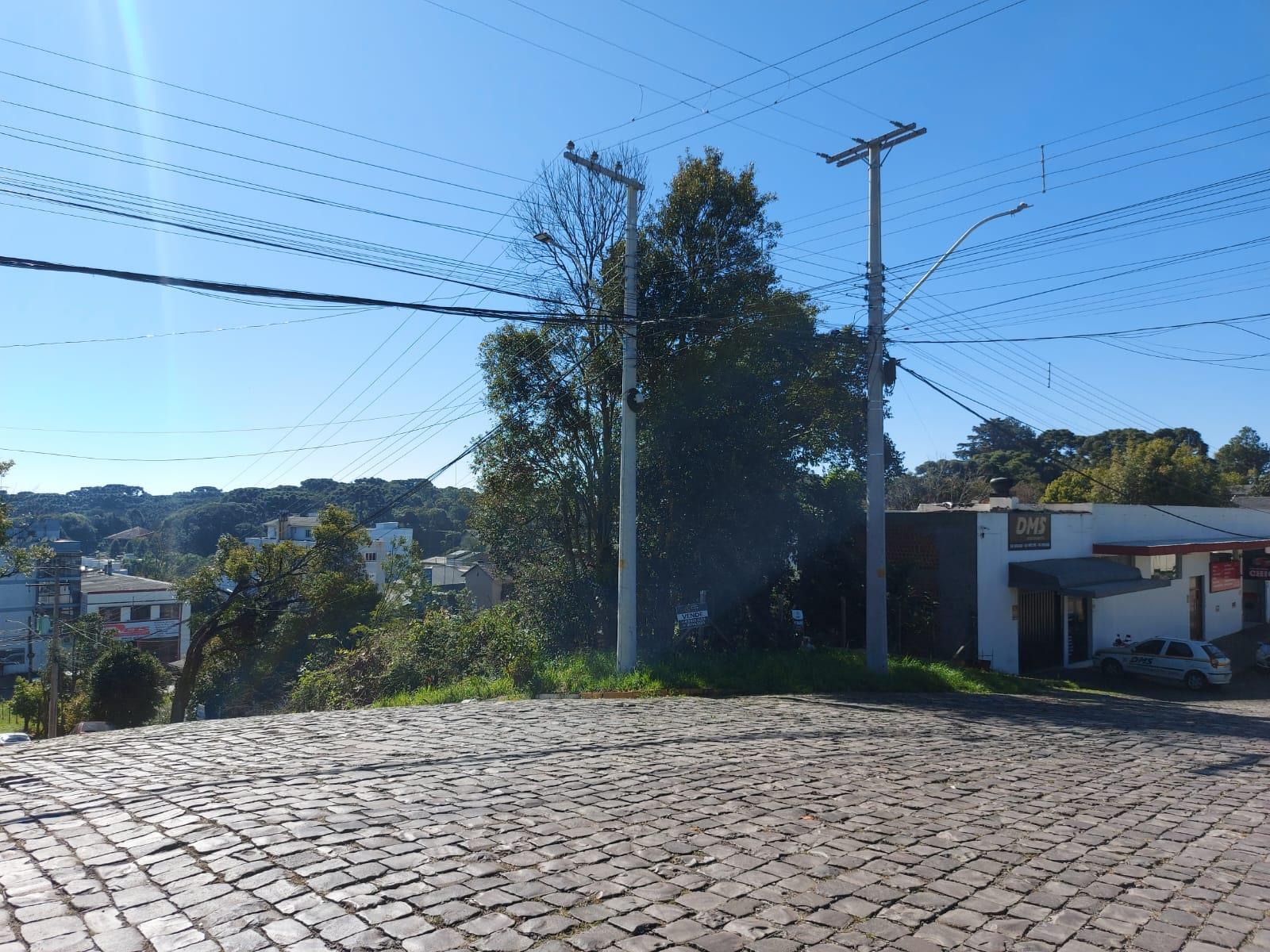 Imóvel 882