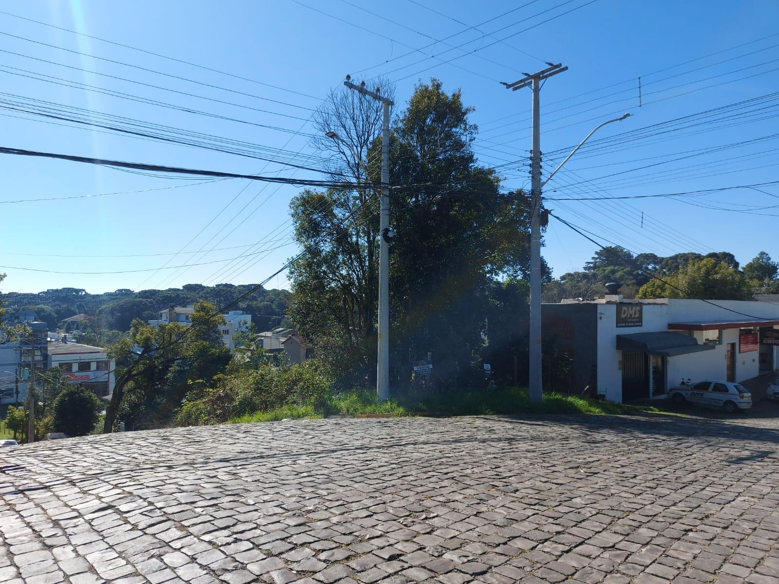 Imóvel 882