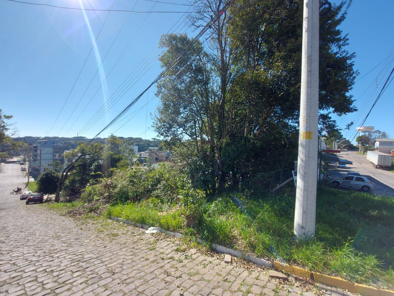 Imóvel 882