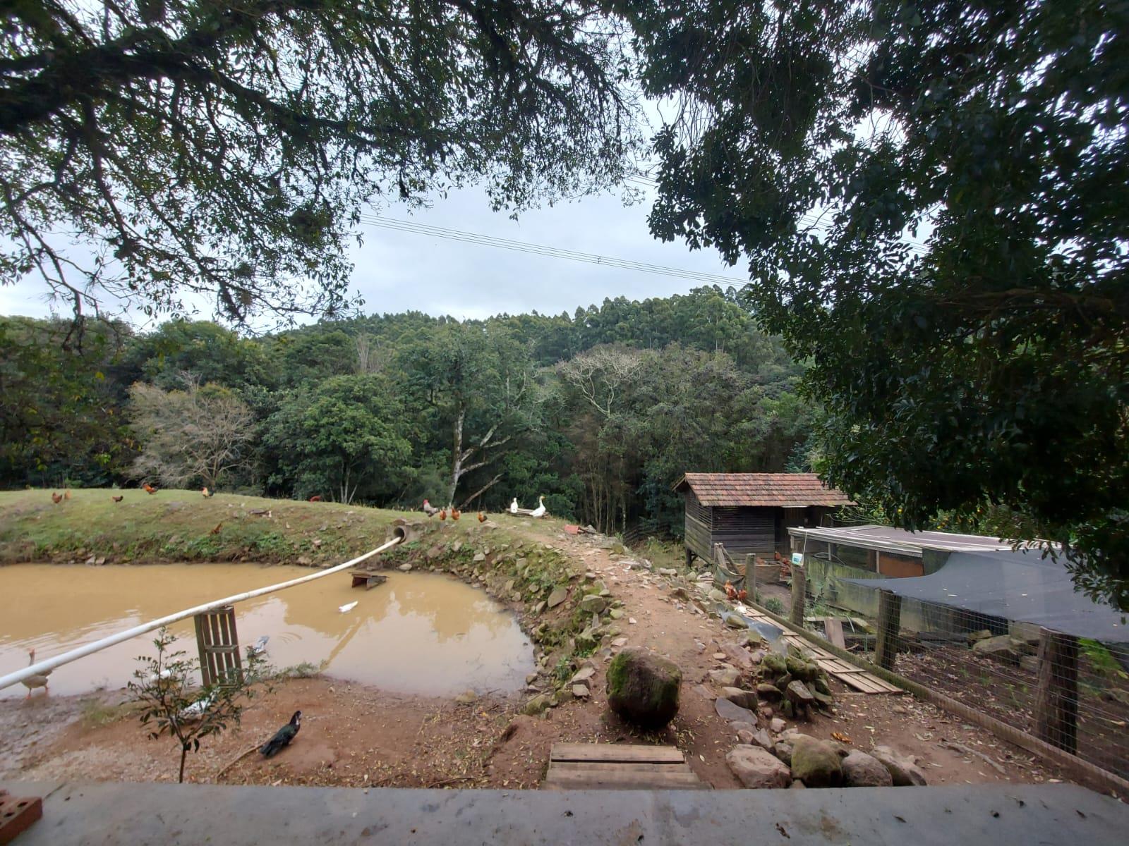 Imóvel 897