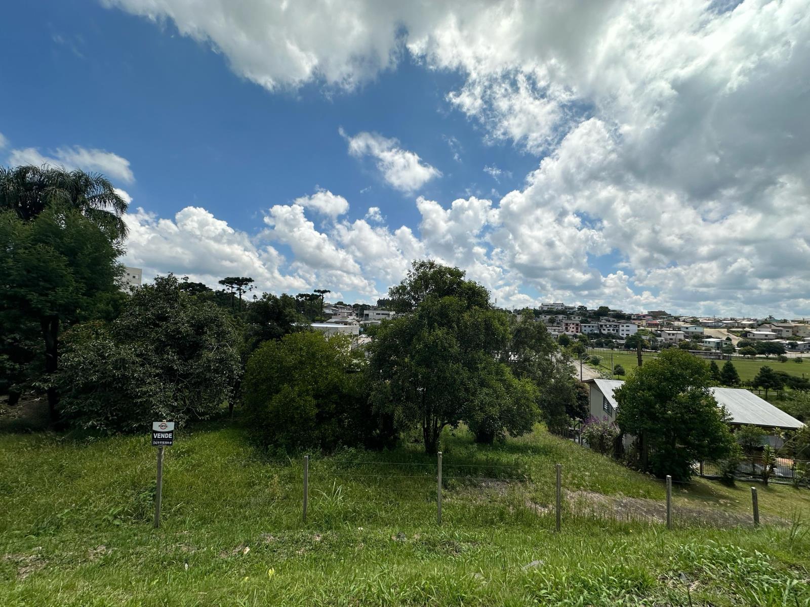 Imóvel 979